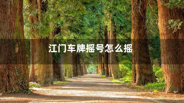 江门车牌摇号怎么摇