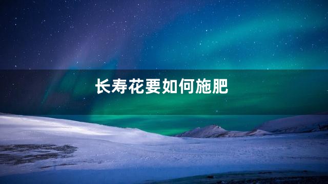 长寿花要如何施肥