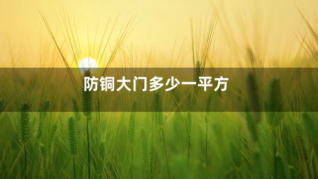 防铜大门多少一平方