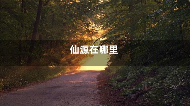 仙源在哪里