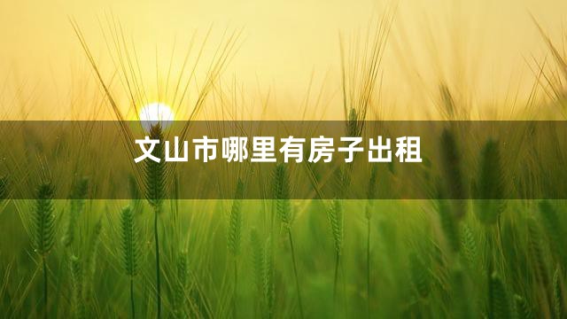 文山市哪里有房子出租