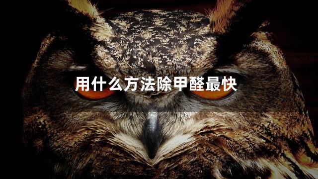 用什么方法除甲醛最快