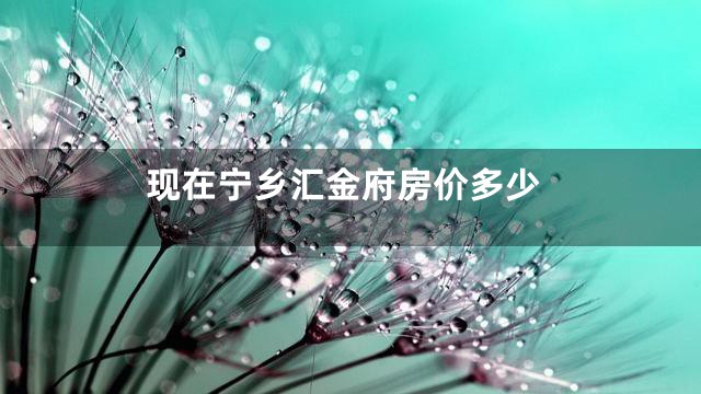 现在宁乡汇金府房价多少