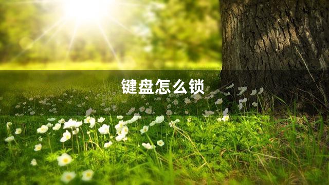 键盘怎么锁