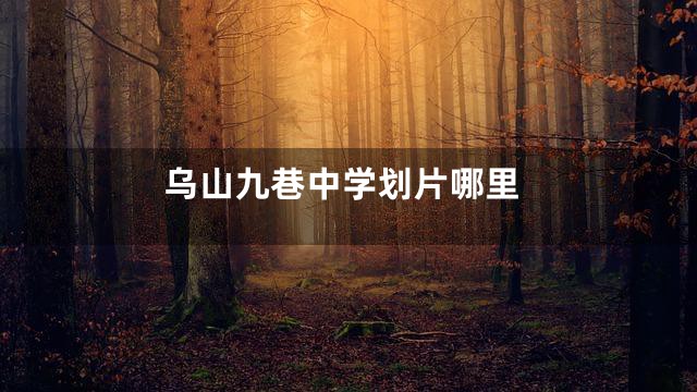 乌山九巷中学划片哪里
