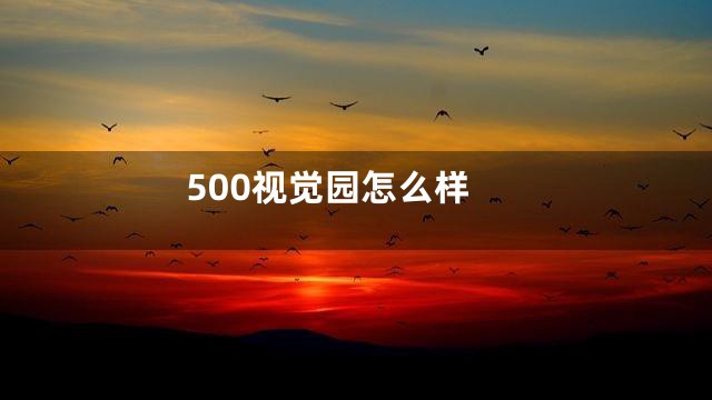 500视觉园怎么样