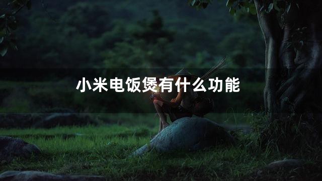 小米电饭煲有什么功能