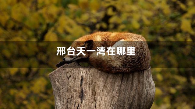 邢台天一湾在哪里