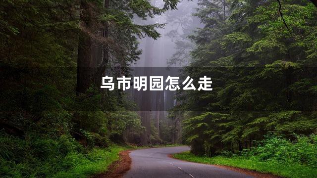 乌市明园怎么走