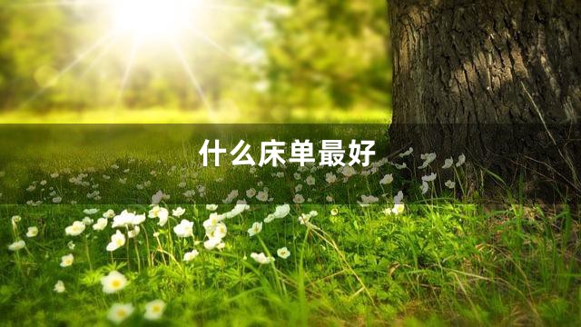 什么床单最好