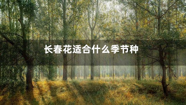 长春花适合什么季节种