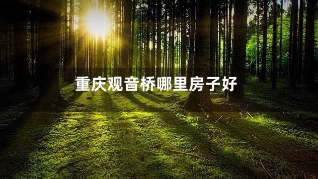 重庆观音桥哪里房子好