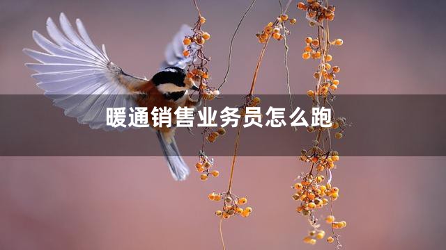 暖通销售业务员怎么跑