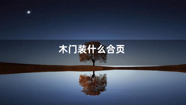 木门装什么合页