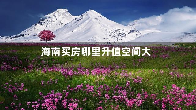 海南买房哪里升值空间大