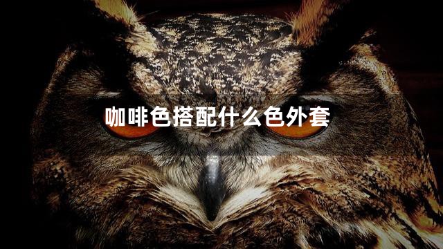 咖啡色搭配什么色外套