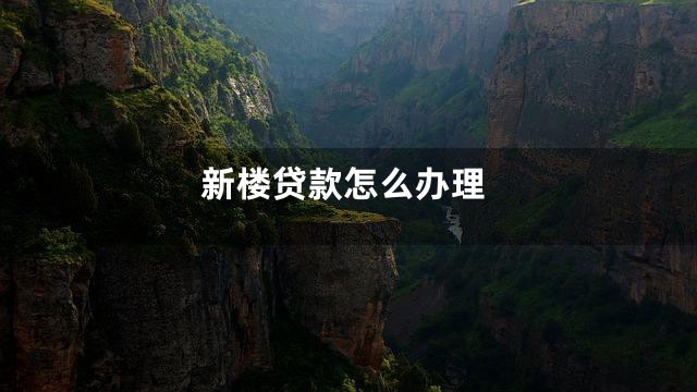 新楼贷款怎么办理