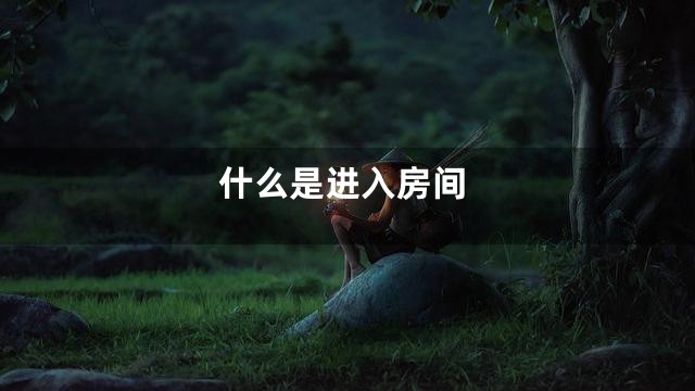 什么是进入房间