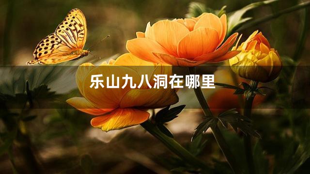 乐山九八洞在哪里