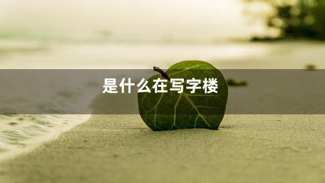 是什么在写字楼