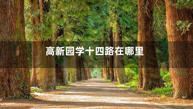 高新园学十四路在哪里