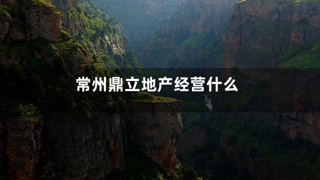 常州鼎立地产经营什么