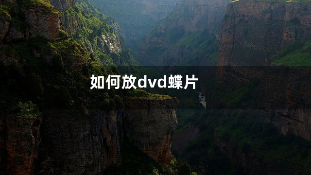 如何放dvd蝶片