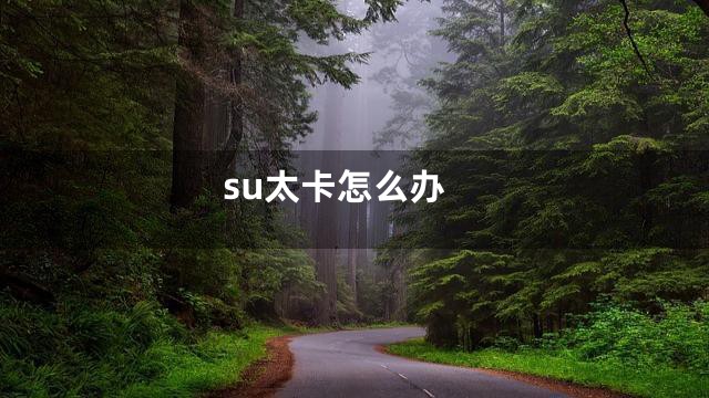 su太卡怎么办