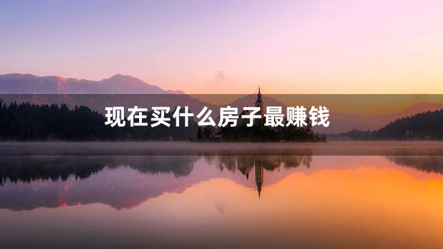 现在买什么房子最赚钱