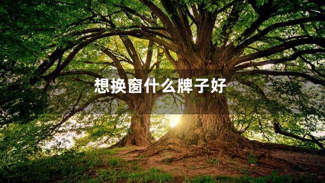 想换窗什么牌子好