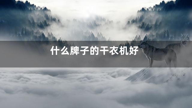 什么牌子的干衣机好