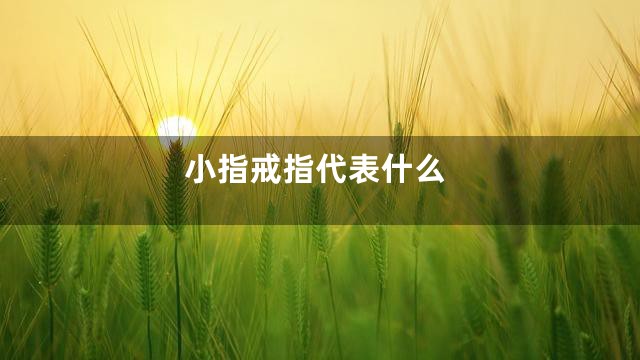 小指戒指代表什么