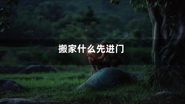 搬家什么先进门