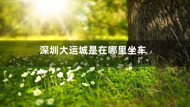 深圳大运城是在哪里坐车