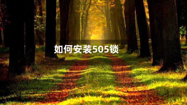 如何安装505锁