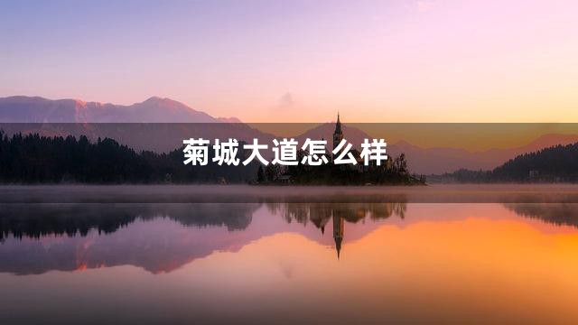 菊城大道怎么样