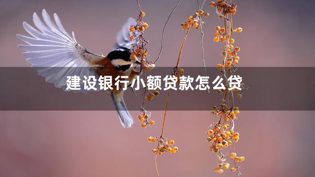 建设银行小额贷款怎么贷
