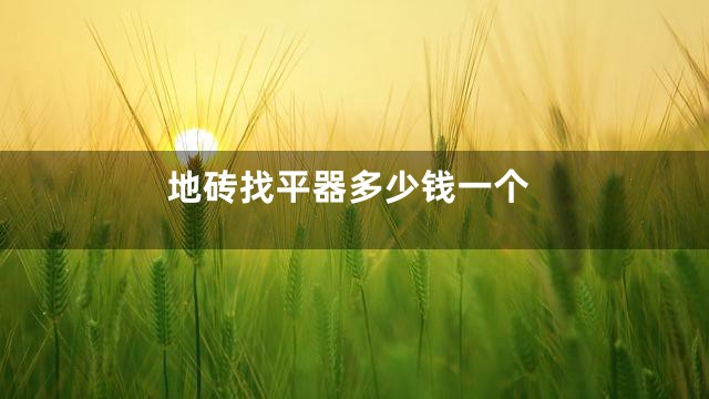 地砖找平器多少钱一个