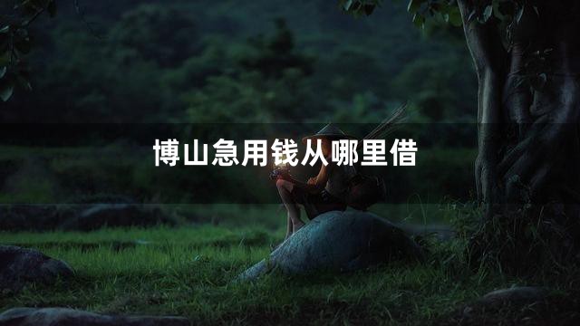 博山急用钱从哪里借