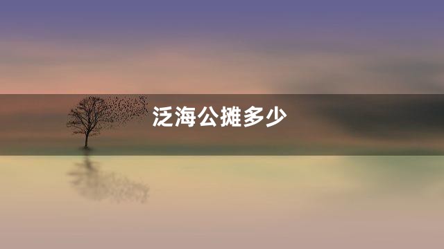 泛海公摊多少