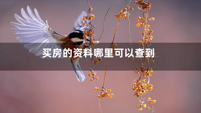 买房的资料哪里可以查到
