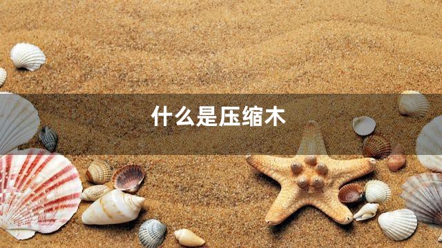 什么是压缩木