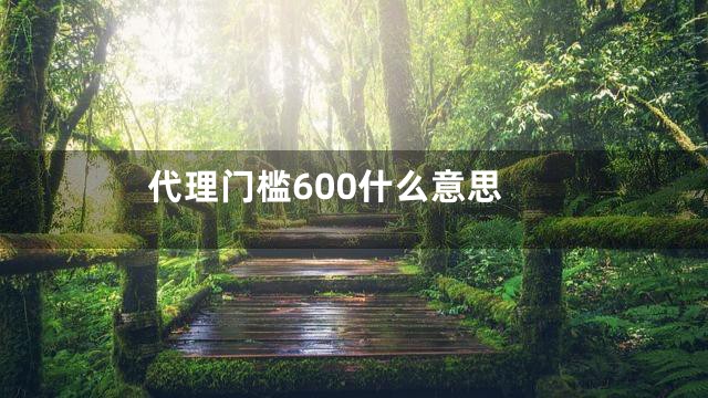 代理门槛600什么意思