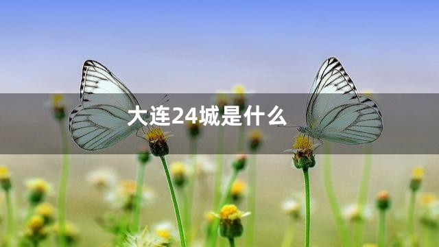大连24城是什么
