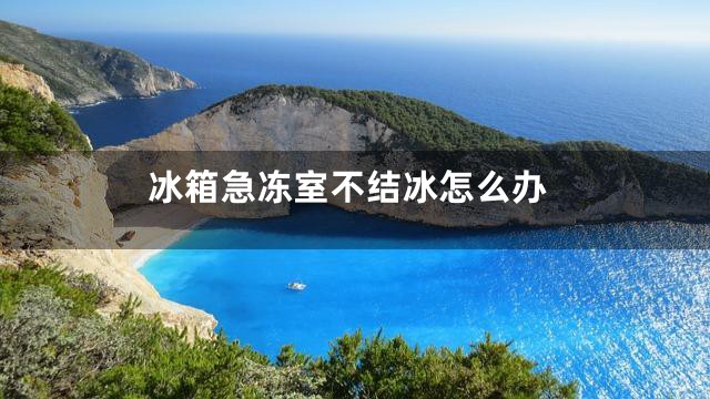 冰箱急冻室不结冰怎么办
