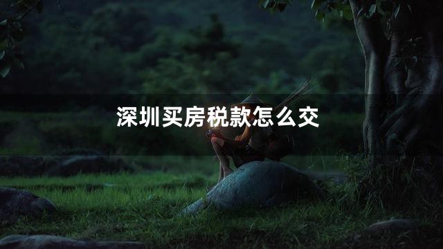 深圳买房税款怎么交