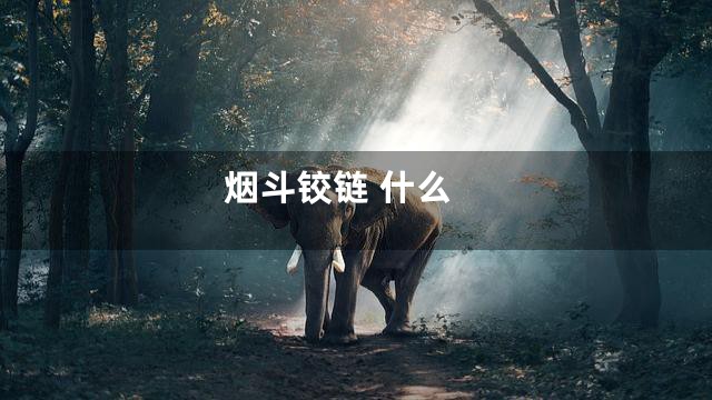 烟斗铰链 什么