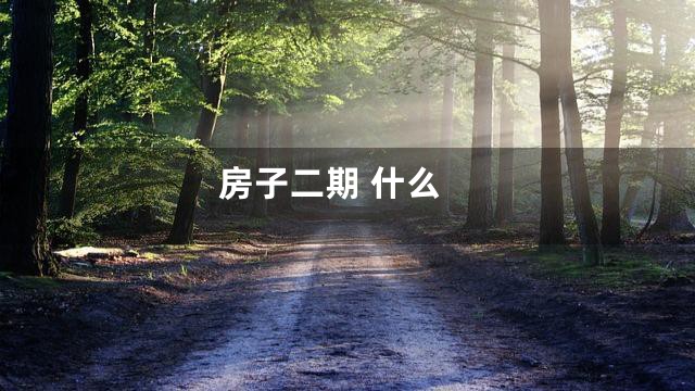 房子二期 什么