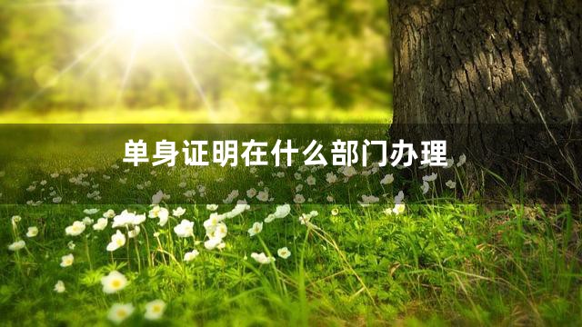 单身证明在什么部门办理