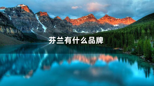 芬兰有什么品牌